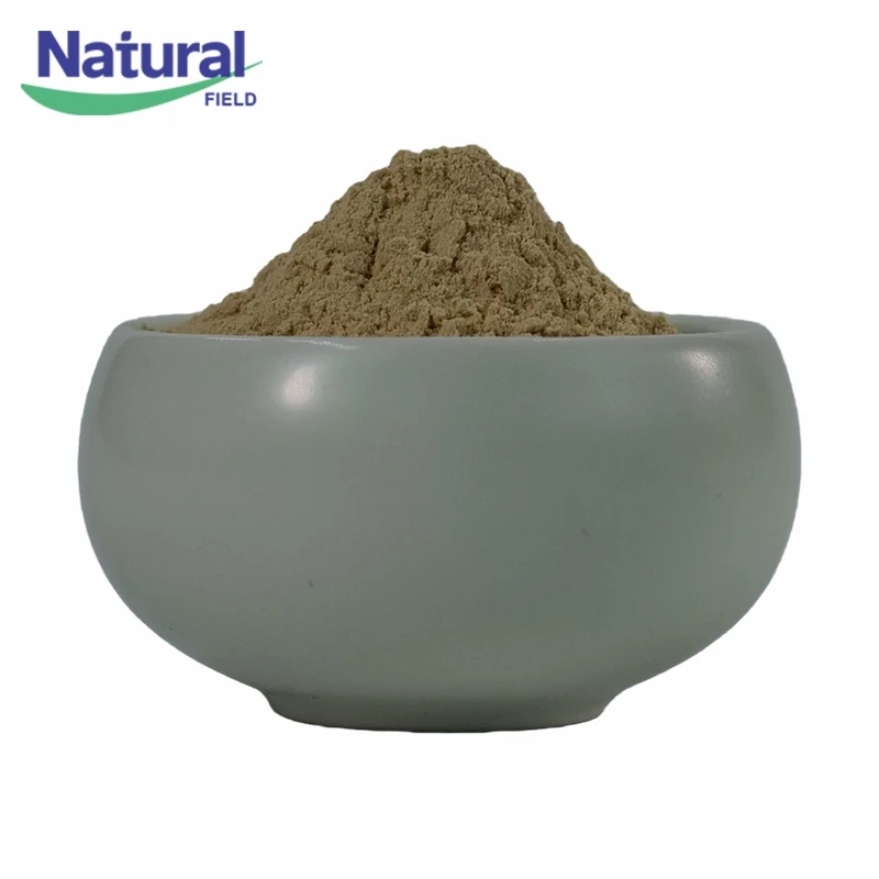 Pure Ginseng Extract Powder suppliers